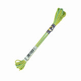 DMC H EMBROID COLOR VARIATION 4050