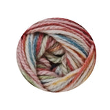 CHARITY CHUNKY PRINT FOUR SEASONS