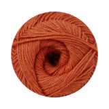 CHARITY P/S 300G-PUMPKIN