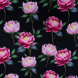 BON BON PTD (150CM)