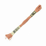 DMC HAND EMBROID. MOULINE SP. 21