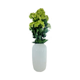 SNOWBALL BUSH 57CM