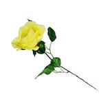 MEDIUM ROSE RED