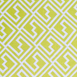 ABSTRACT PRINTED COTTON CANVAS