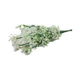 GYPSOPHILIA