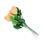 ROSEBUD 4LAYER 6PK ROSE