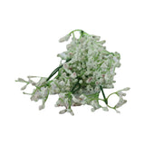 GYPSOPHILIA