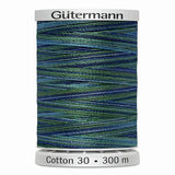 G 300M VERIGATED 4016