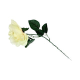 MEDIUM ROSE RED