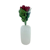 ROSEBUD 4LAYER 6PK ROSE