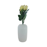 ROSEBUD 4LAYER 6PK WHITE