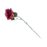 MEDIUM ROSE RED