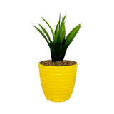 POTTED ALOE VASE 190
