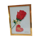 A4 FRAME