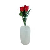 ROSEBUD 4LAYER 6PK RED