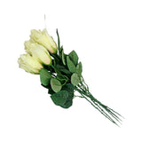 ROSEBUD 4LAYER 6PK ROSE