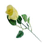ROSEBUD 1X14 BLACK