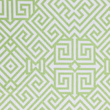 ABSTRACT PRINTED COTTON CANVAS