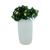 EXACUM BUSH