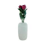 ROSEBUD 4LAYER 6PK ROSE