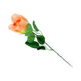 ROSEBUD 1X14 BLACK