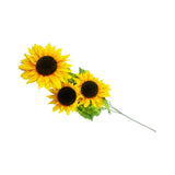 SUNFLOWER 3BUD